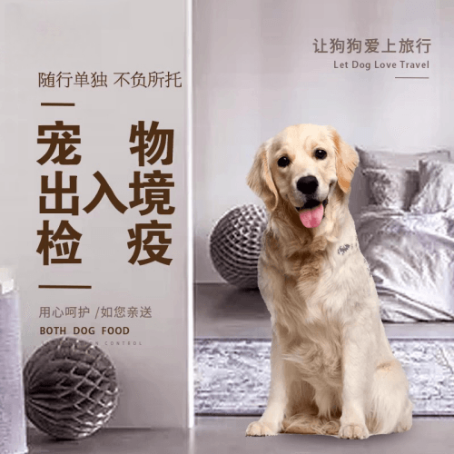 深圳市宠物托运到哥伦比亚猫狗宠物入境规定和
