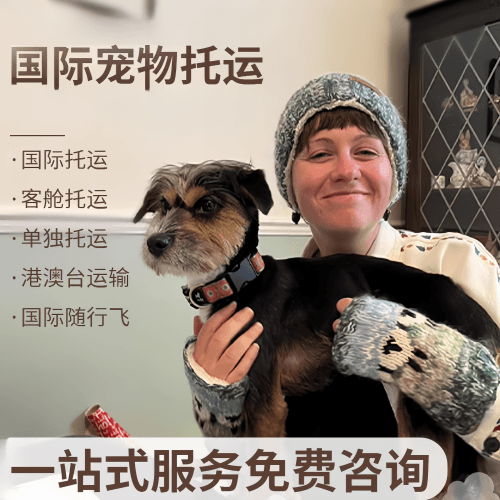 深圳市国际宠物托运到阿根廷宠物入境规定和要