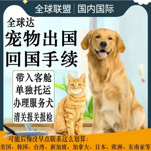 深圳市宠物托运到柬埔寨宠物入境规定和要求