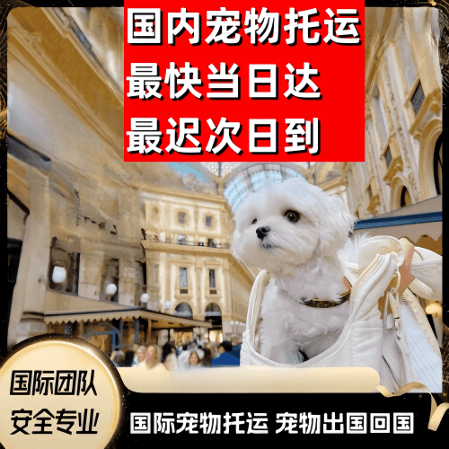 深圳市到澳大利亚（澳洲）宠物入境规定和要求