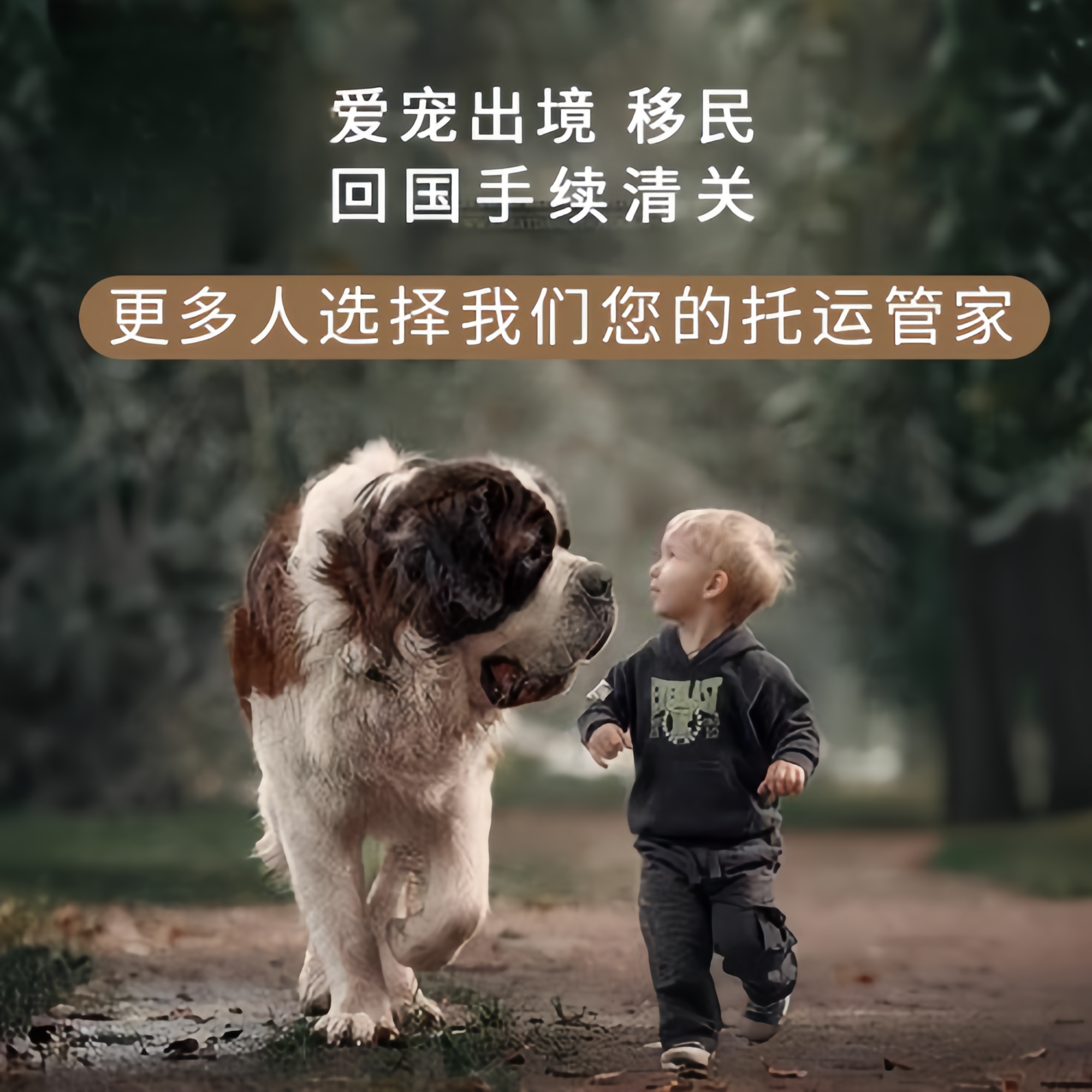 满财深圳市宠物全球达宠物托运在遵守入境目的地政策的条件