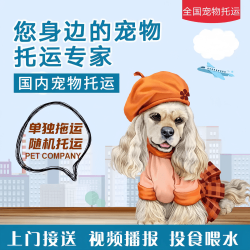 满财深圳市宠物全球达宠物托运作为专业的宠物运输代理机构